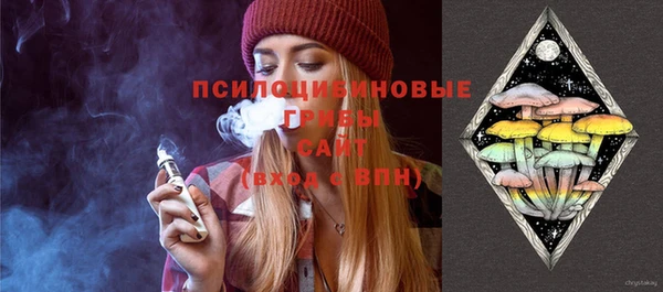 spice Армянск