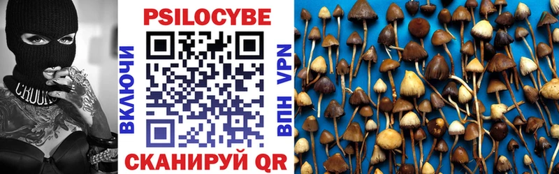 Галлюциногенные грибы Magic Shrooms Талица